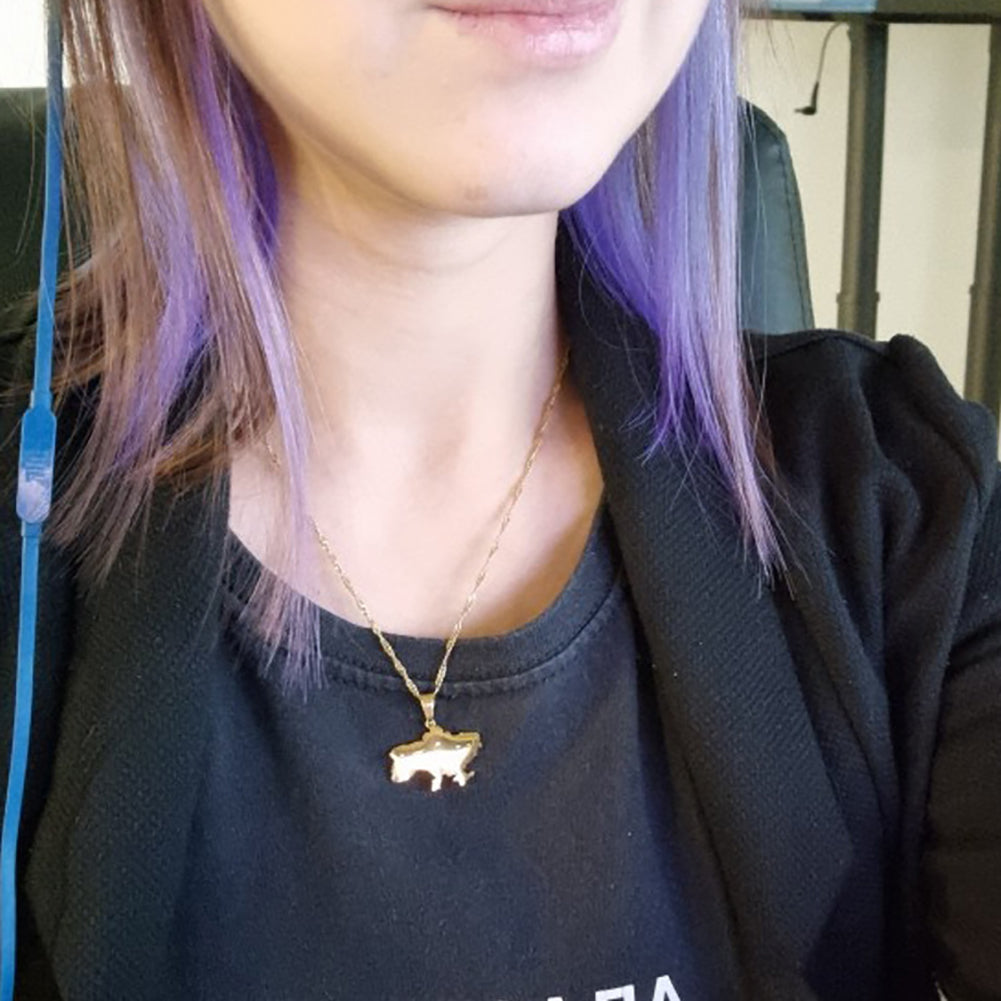 Ukraine Map Pendant & Necklace Ukrainian Jewelry Gifts